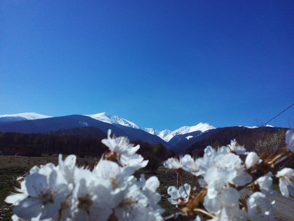 Casa Muntelui - Sambata Sîmbăta de Sus Bagian luar foto