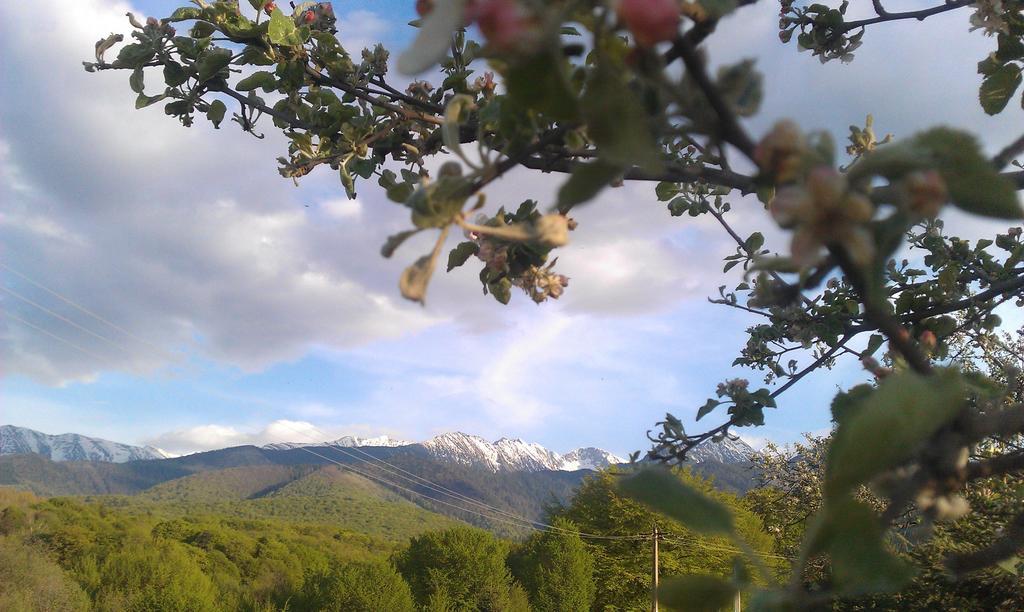 Casa Muntelui - Sambata Sîmbăta de Sus Bagian luar foto